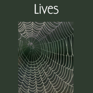 Bremmand Lives - e-book
