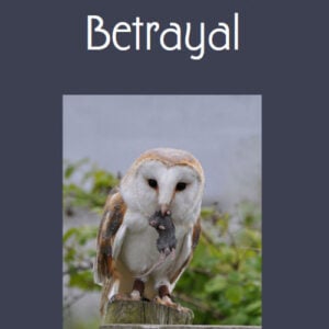 Balance of Betrayal