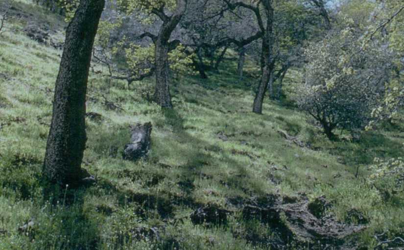 cropped-Line-of-Duty-Front-e1448794213786-825x510