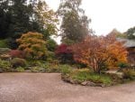 Image of trees in autumn