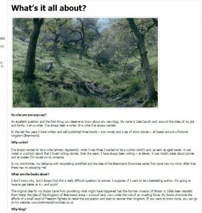 Screen shot of my first ever blog