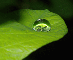 image of a drop of water